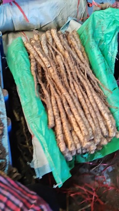 從鐵棍豆苗到江湖傳說 不會(huì)武功的郭大俠如何扎根農(nóng)產(chǎn)品種植