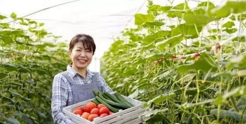 三產(chǎn)融合，共贏未來 如何將休閑農(nóng)業(yè)、鄉(xiāng)村旅游與有機(jī)農(nóng)產(chǎn)品種植打造成最佳營(yíng)銷組合